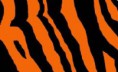 /album/photogallery/background-jpg/